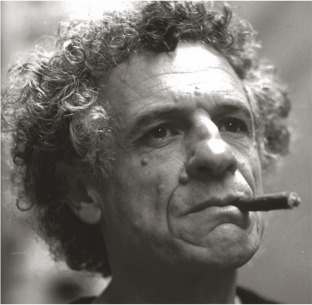 ADOLFO SCARSELLI in arte DOLFO